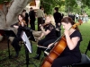 The orchetra plays
